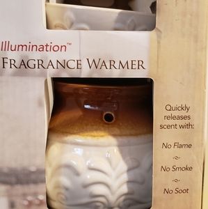 Fragrance warmer